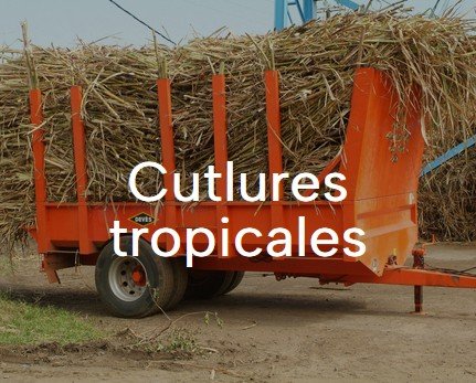 Remorque cultures tropicales Devès distribuée par Agrijoub